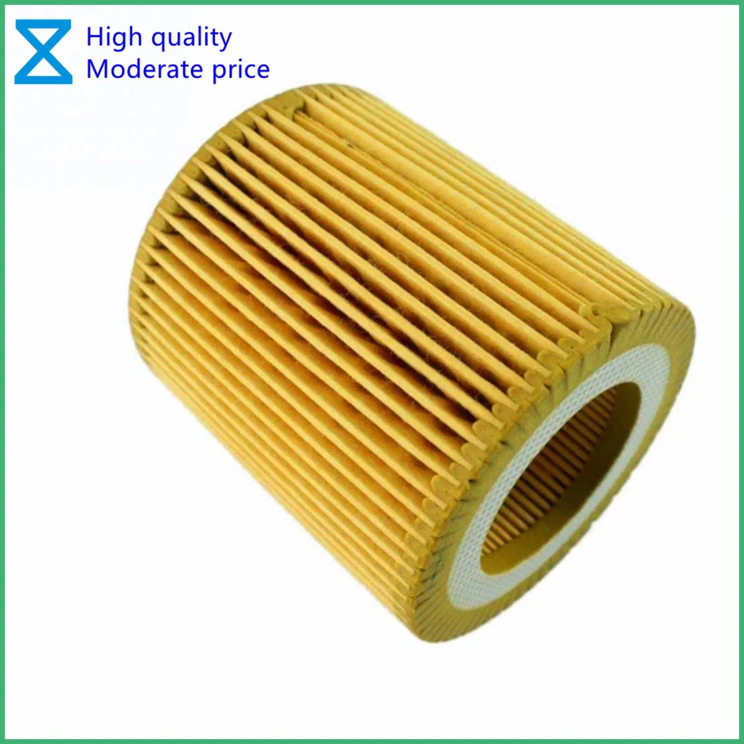 China Professional OEM Providing High Quality Oil Filter for BMW 3/5/7 Series